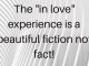The “in love” experience is a beautiful fiction not fact!