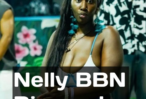 Nelly BBN Biography, Nelly BBN Age, Nelly BBN Net Worth, Nelly BBN Date of Birth, Nelly BBN state of Origin, Nelly BBN career, Nelly BBNaija Biography
